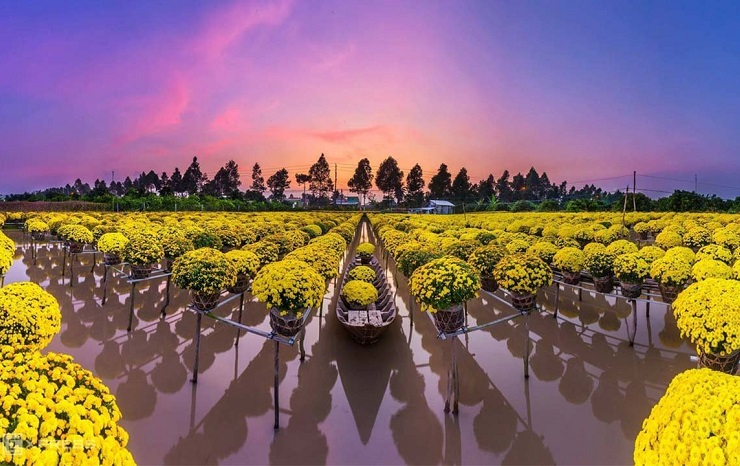 FLOWER WORLD SA DEC URBAN AND TOURISM COMPLEX